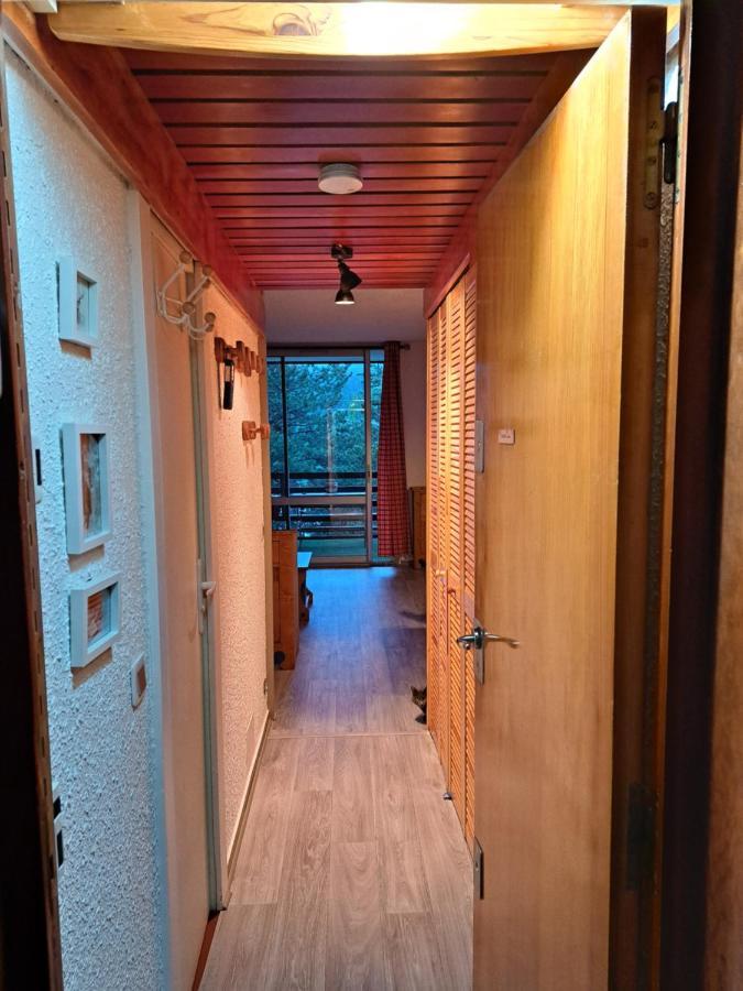 סן-שפרה Appartement Montagnard Serre-Chevalier. מראה חיצוני תמונה